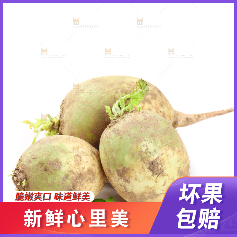 白底上的心里美萝卜