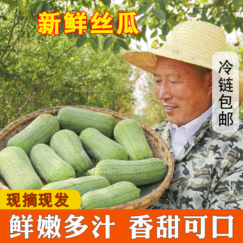 手里拿着新鲜丝瓜