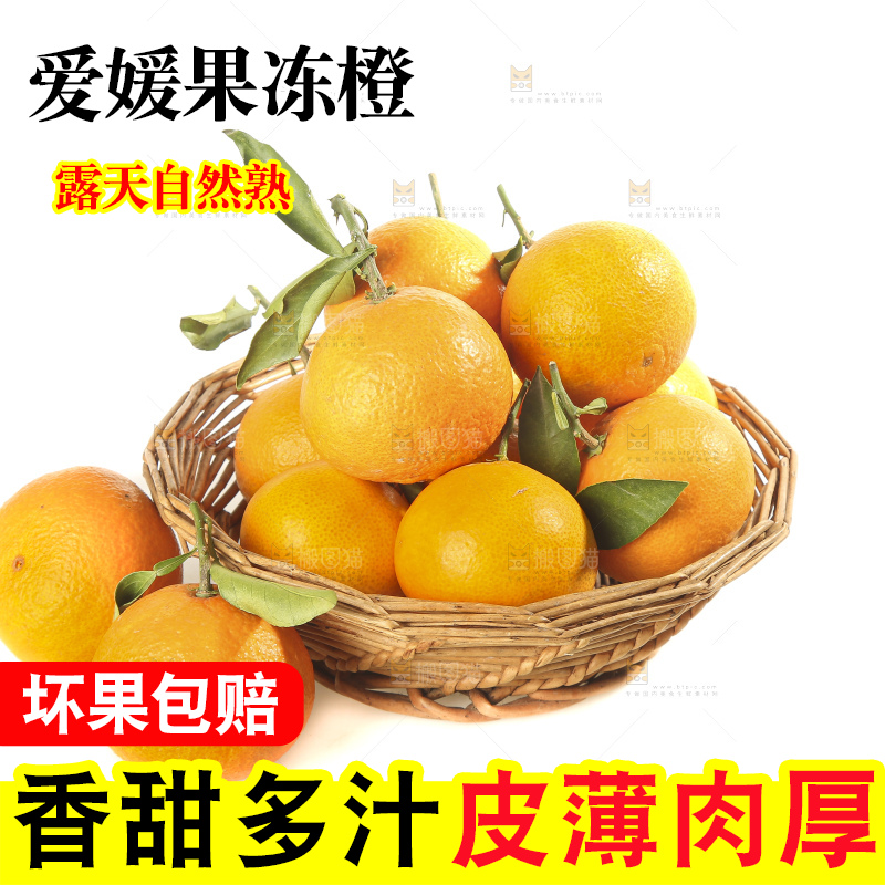 白底上的爱媛果冻橙