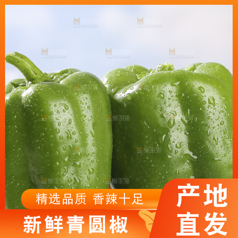 浅底上的青圆椒