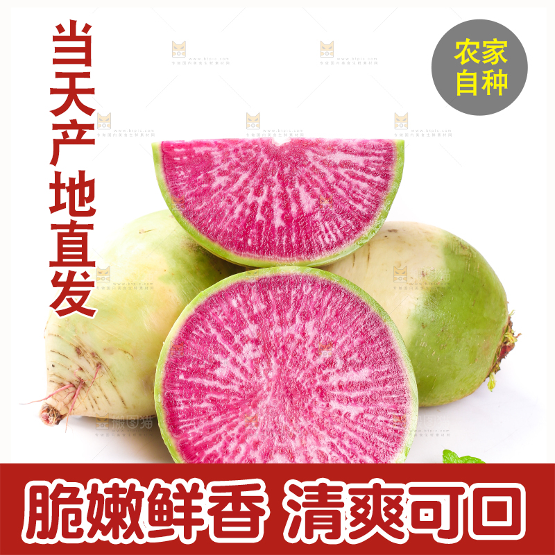 白底上的心里美萝卜