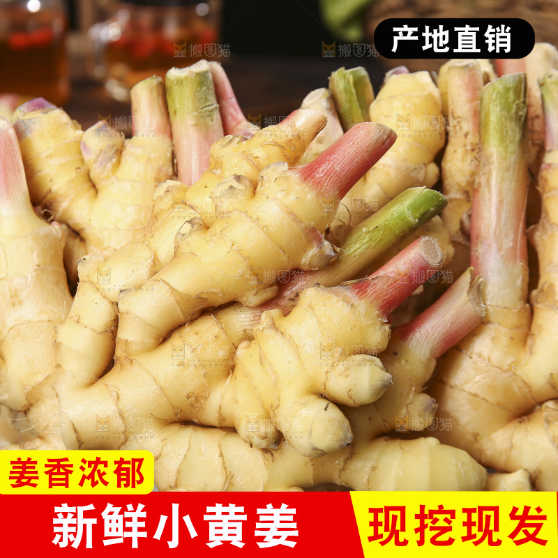 深底上的小黄姜