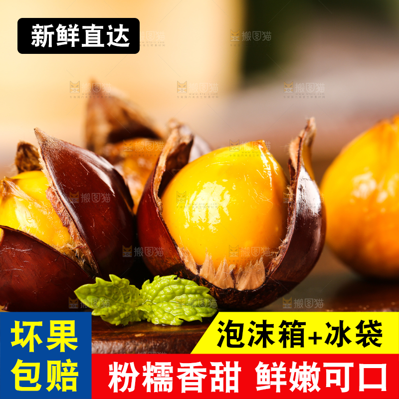 深底上的油锥栗