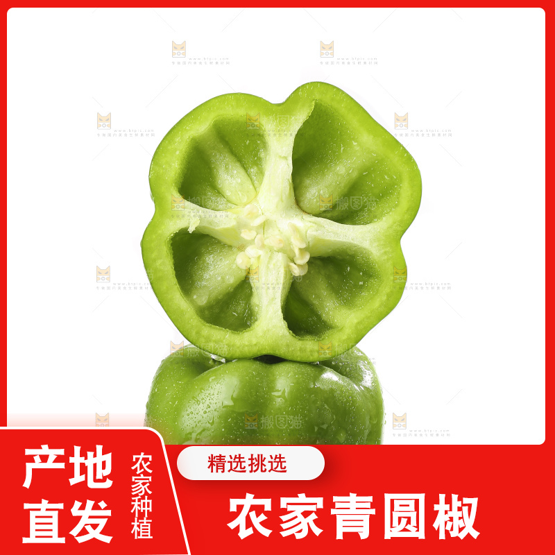 白底上的青圆椒
