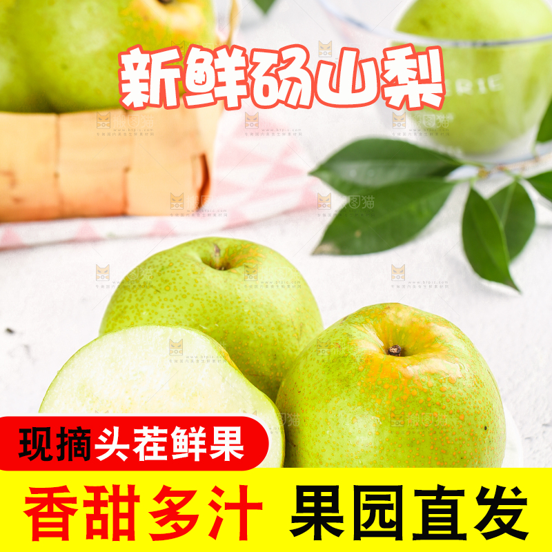 浅底上的砀山酥梨