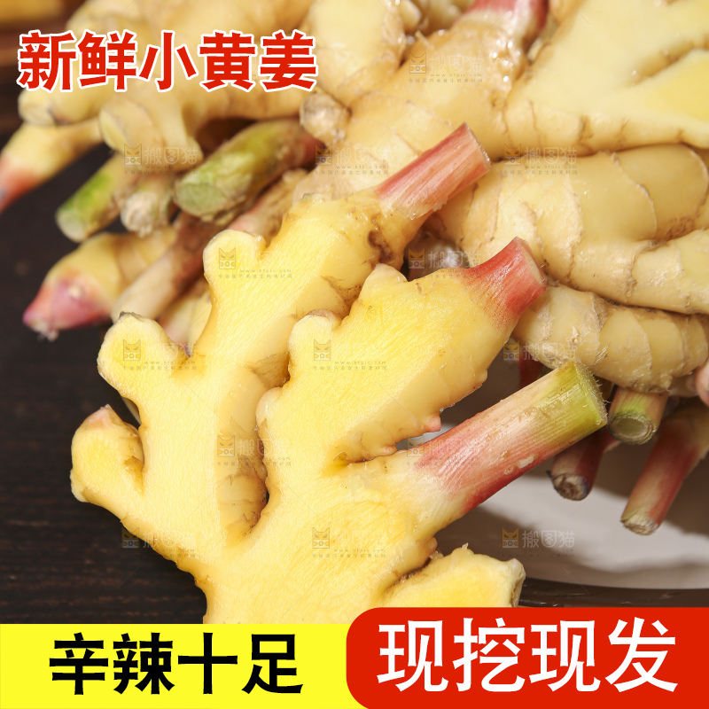 深底上的小黄姜