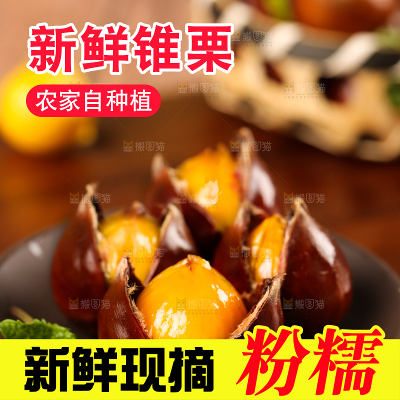 深底上的油锥栗