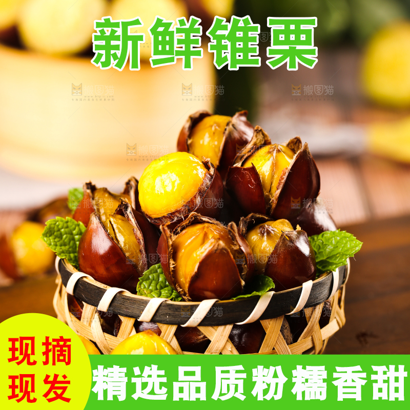深底上的油锥栗