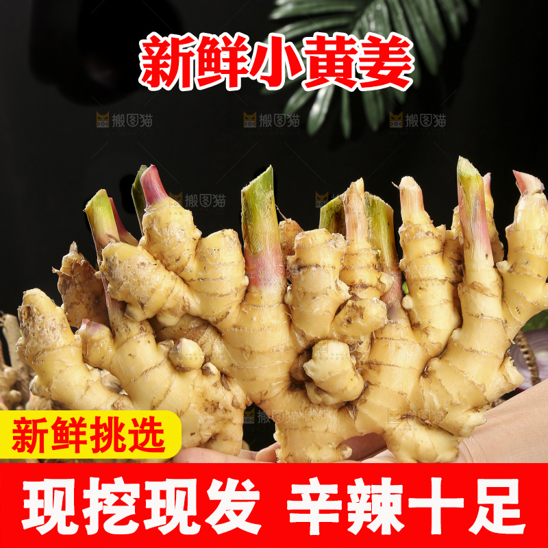 木底上的新鲜小黄姜