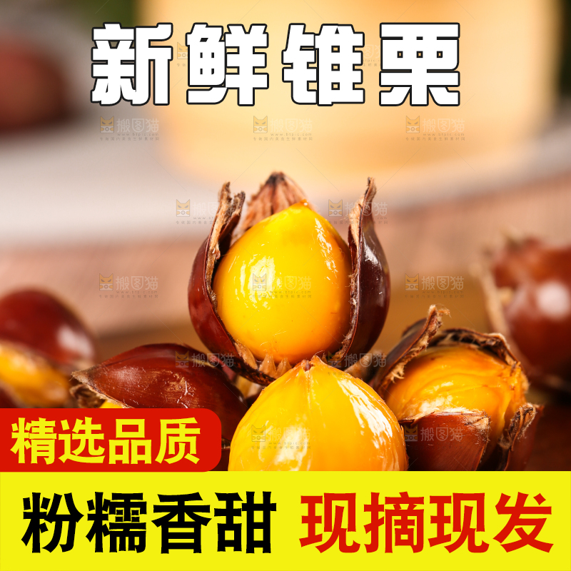 深底上的油锥栗