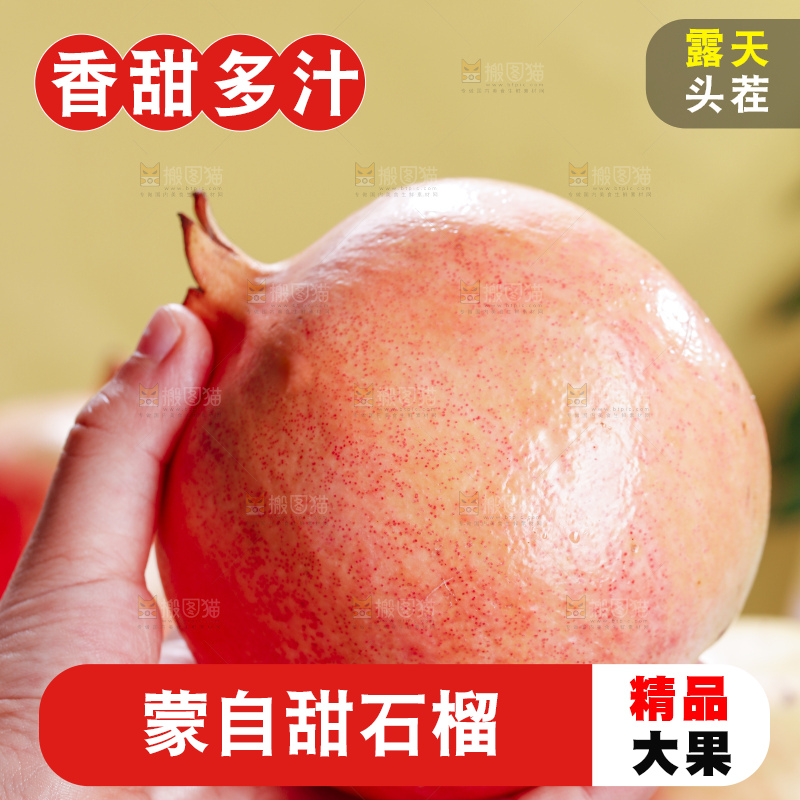 浅底上的蒙自石榴