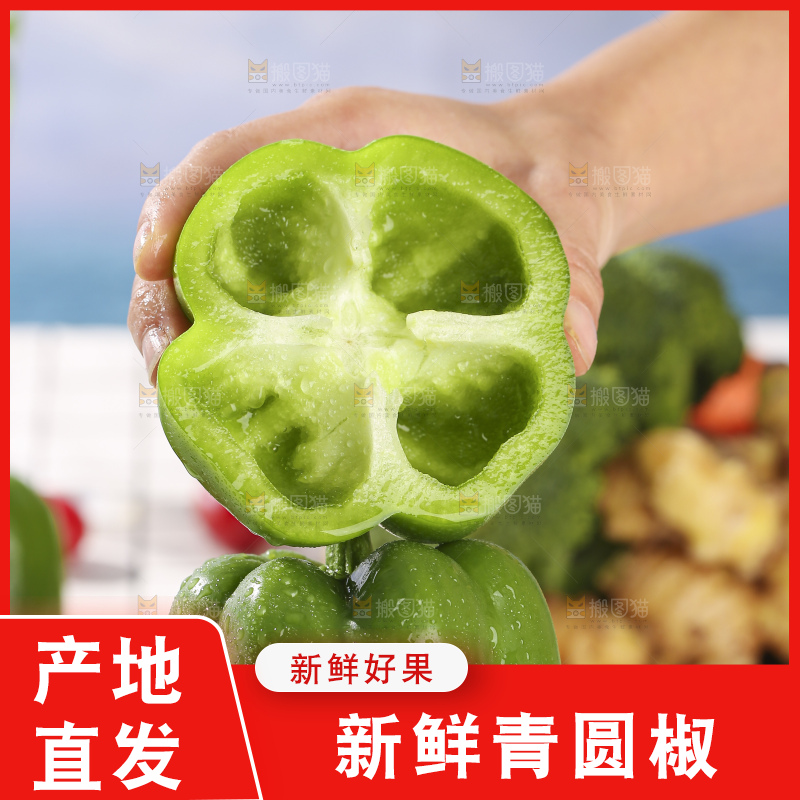 浅底上的青圆椒