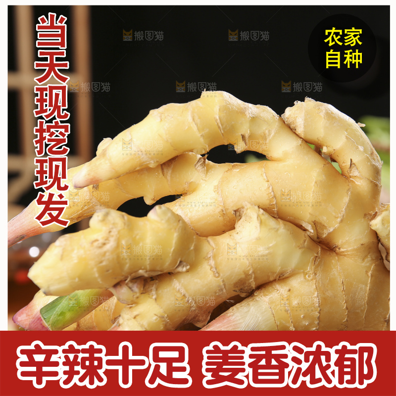 深底上的小黄姜