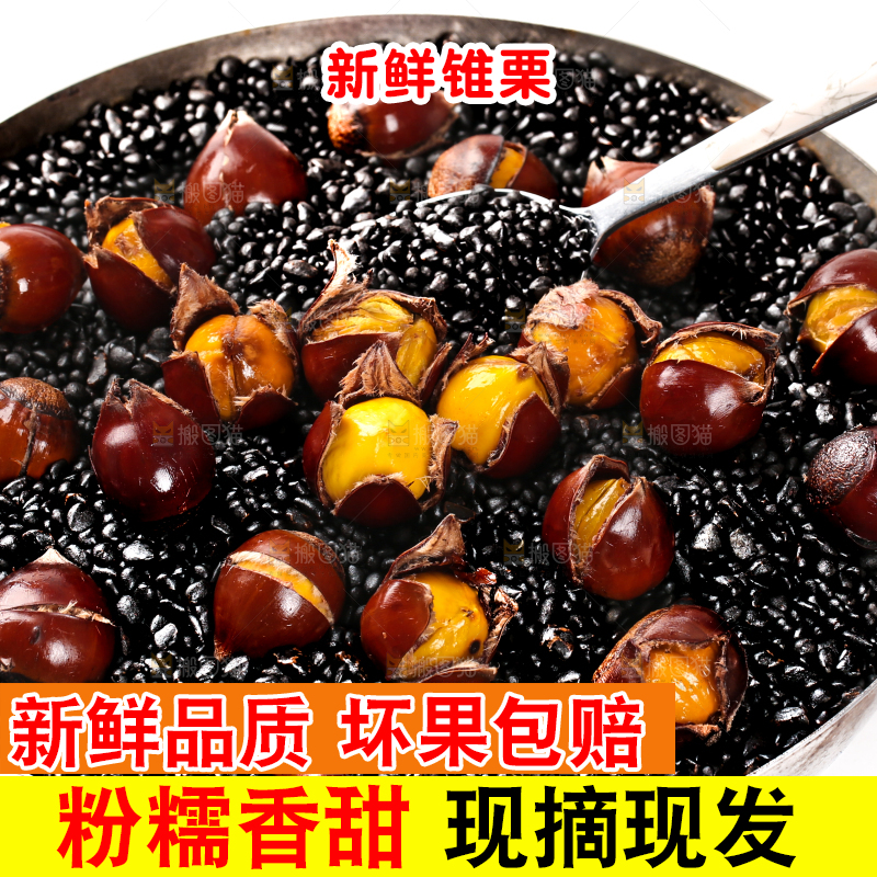 深底上的油锥栗