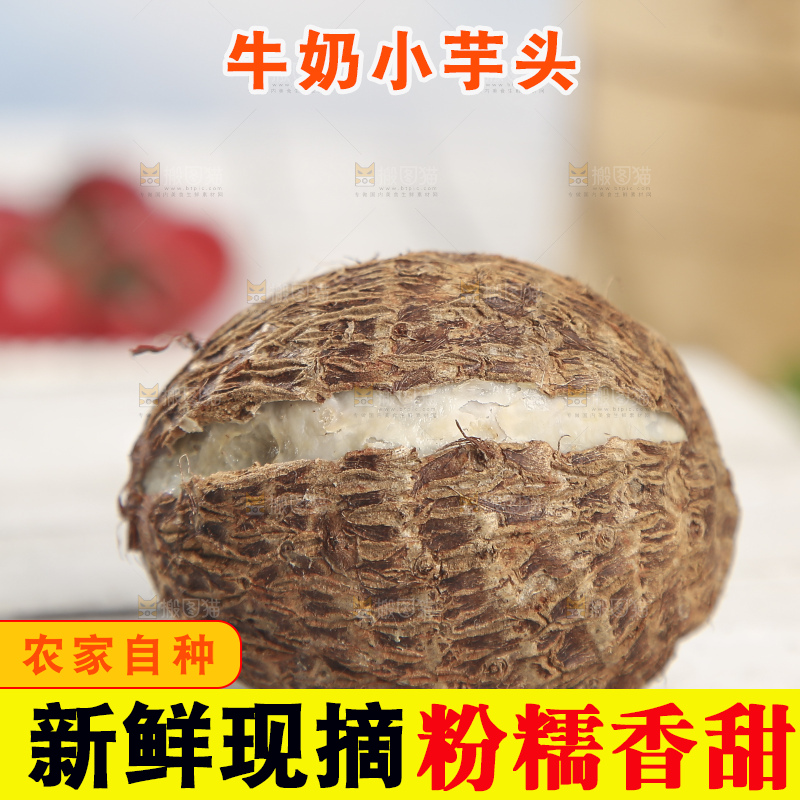 浅底上的新鲜小芋头