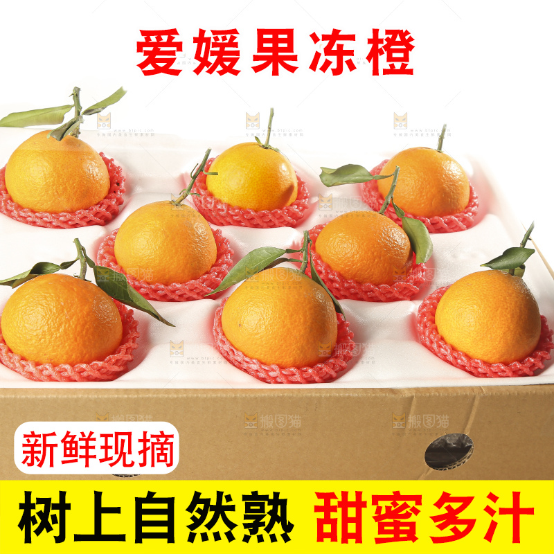 白底上的爱媛果冻橙