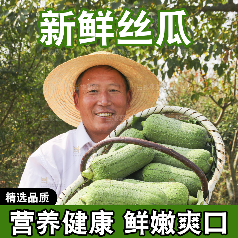 手里拿着新鲜丝瓜