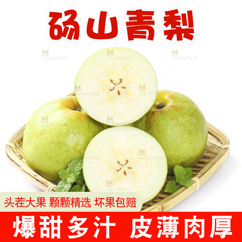 白底上的砀山梨