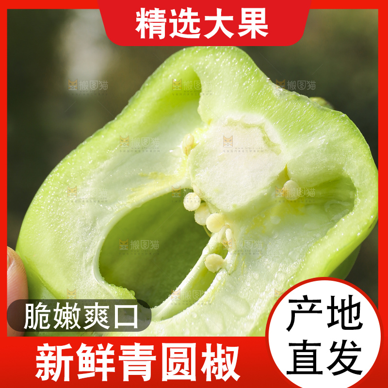 手里拿着新鲜青圆椒