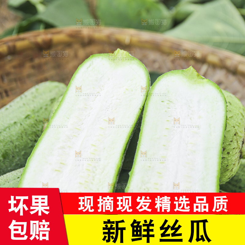 手里拿着新鲜丝瓜
