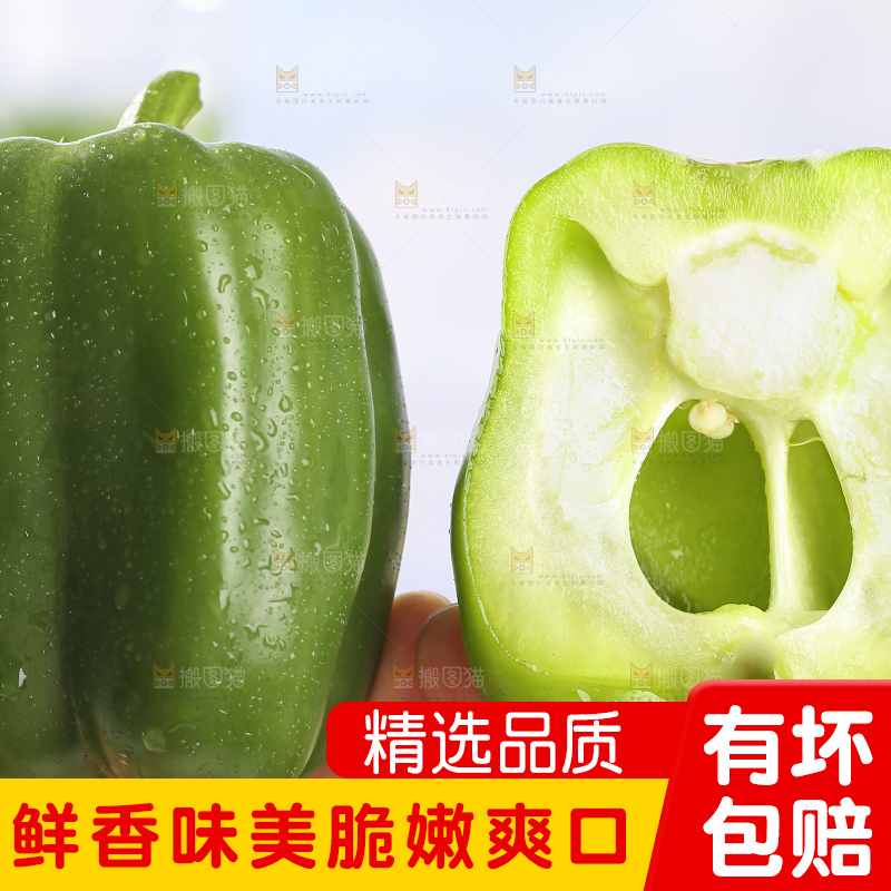 浅底上的青圆椒
