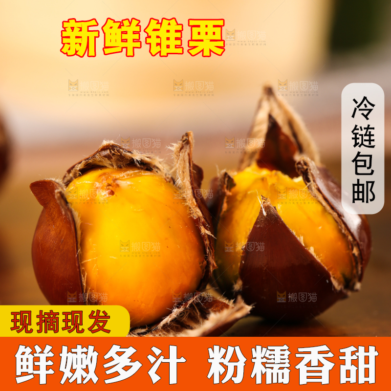 深底上的油锥栗