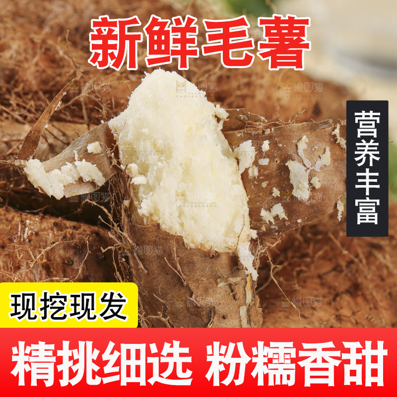 浅底上的新鲜毛薯