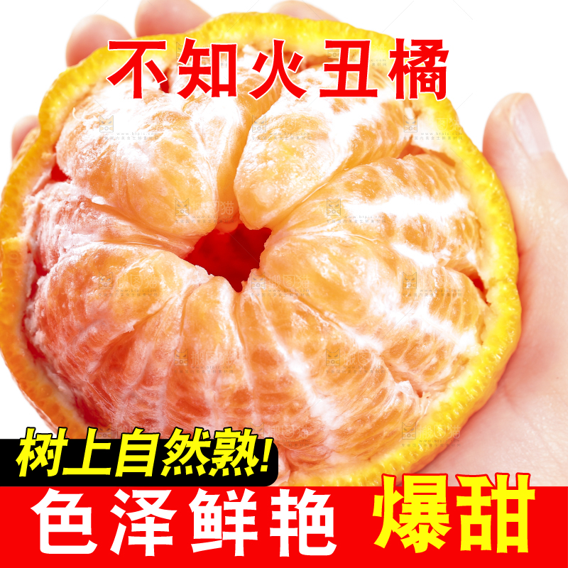 白底上的丑橘