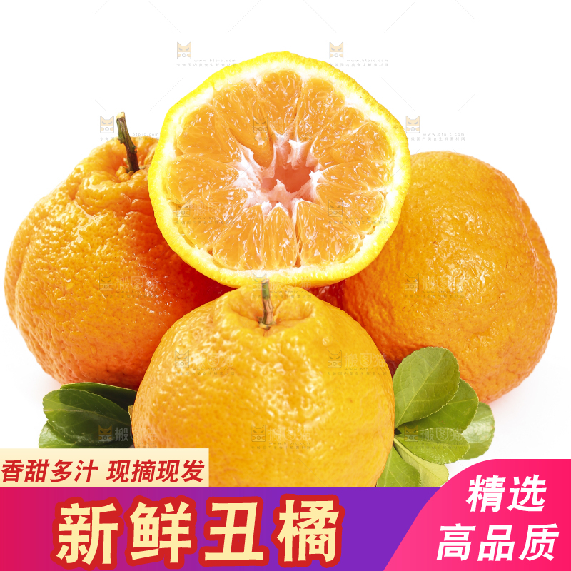 白底上的丑橘