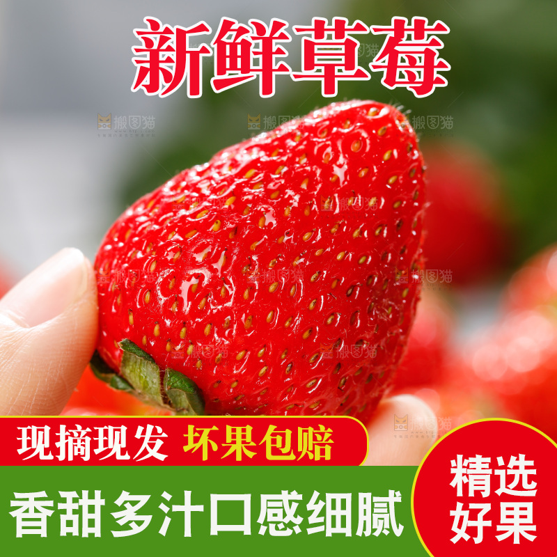 浅底上的丹东草莓