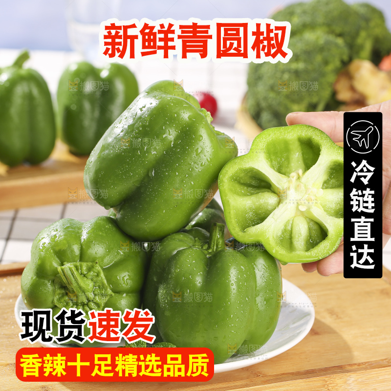 浅底上的青圆椒