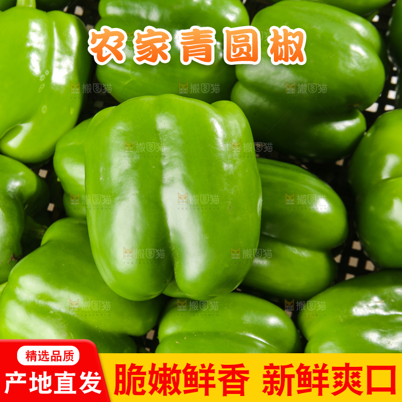 白底上的青圆椒