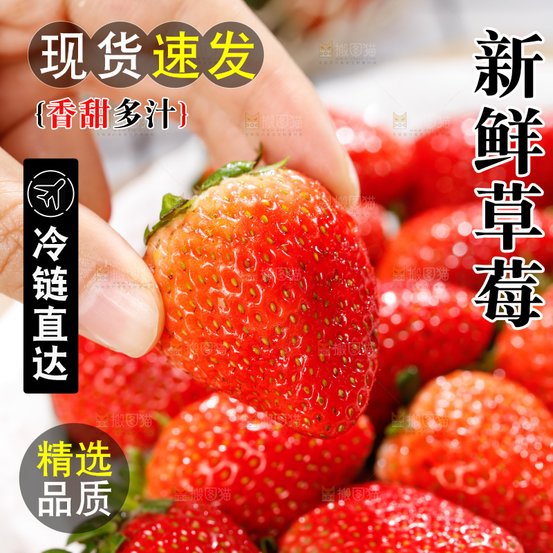 浅底上的丹东草莓