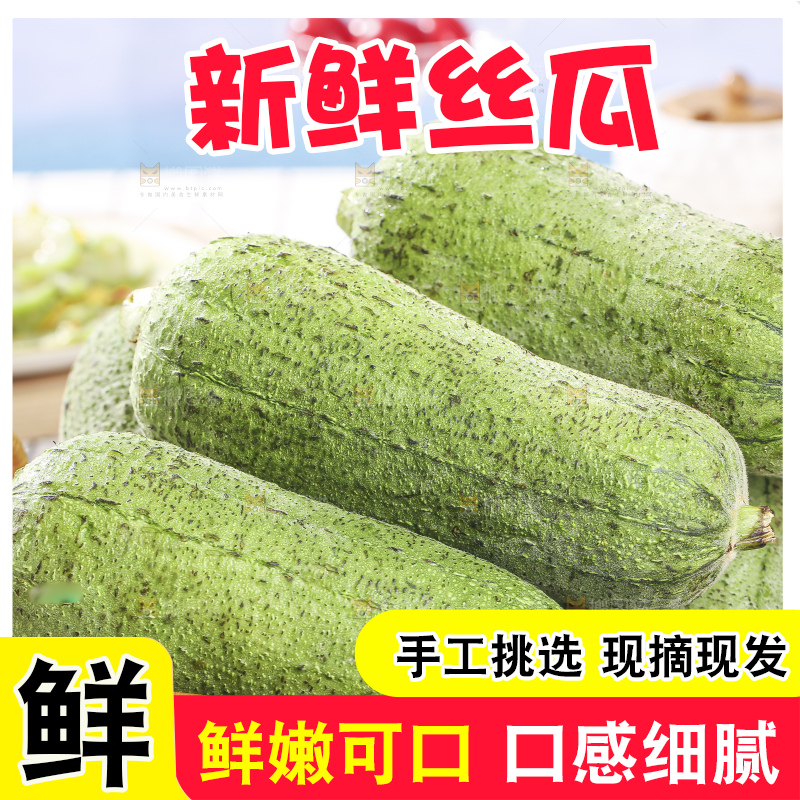 浅底上的肉丝瓜