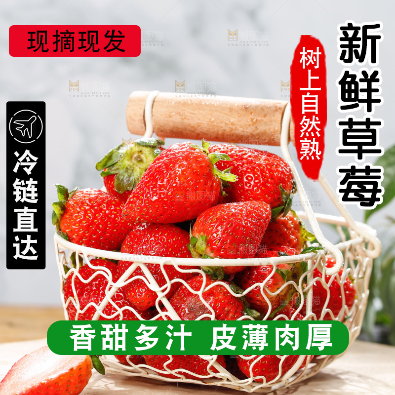 浅底上的丹东草莓