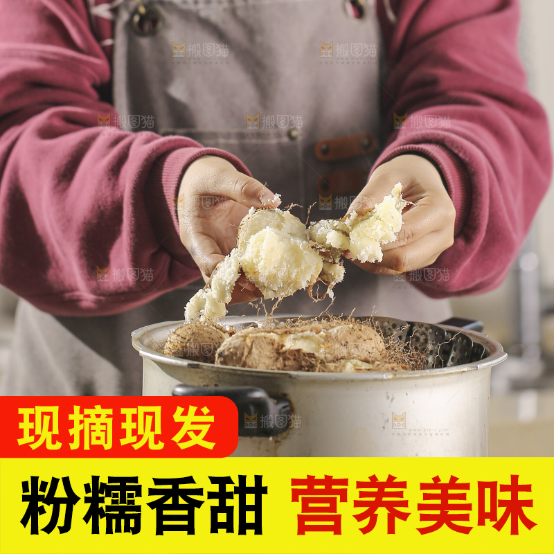 锅里蒸熟的毛薯