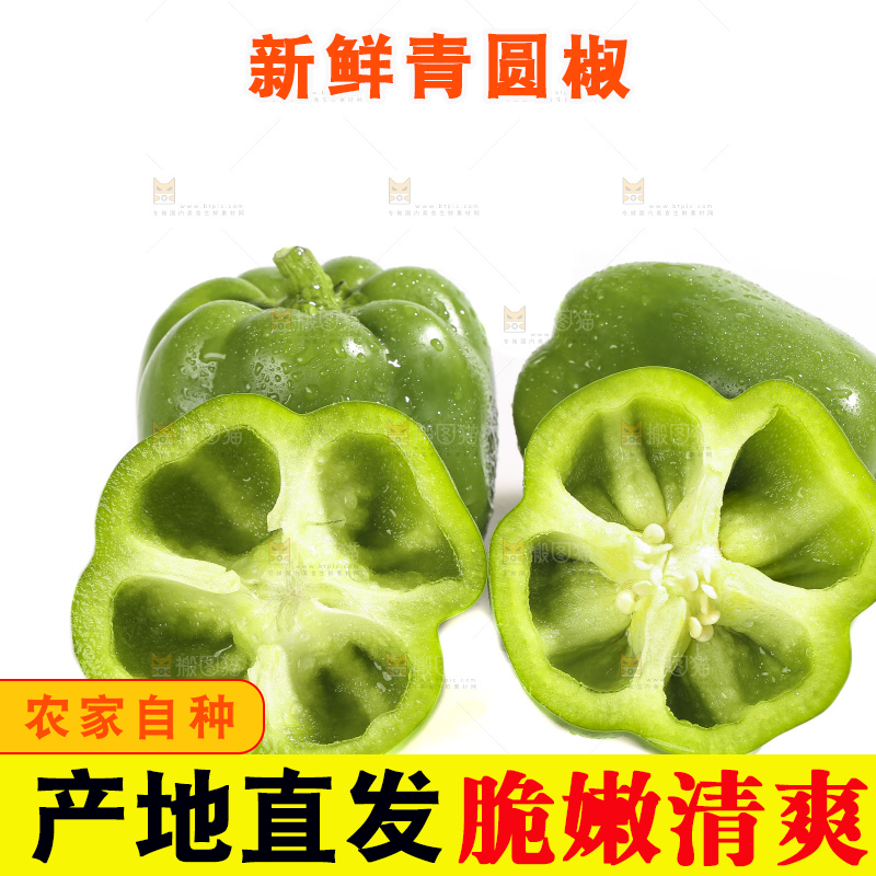 白底上的青圆椒