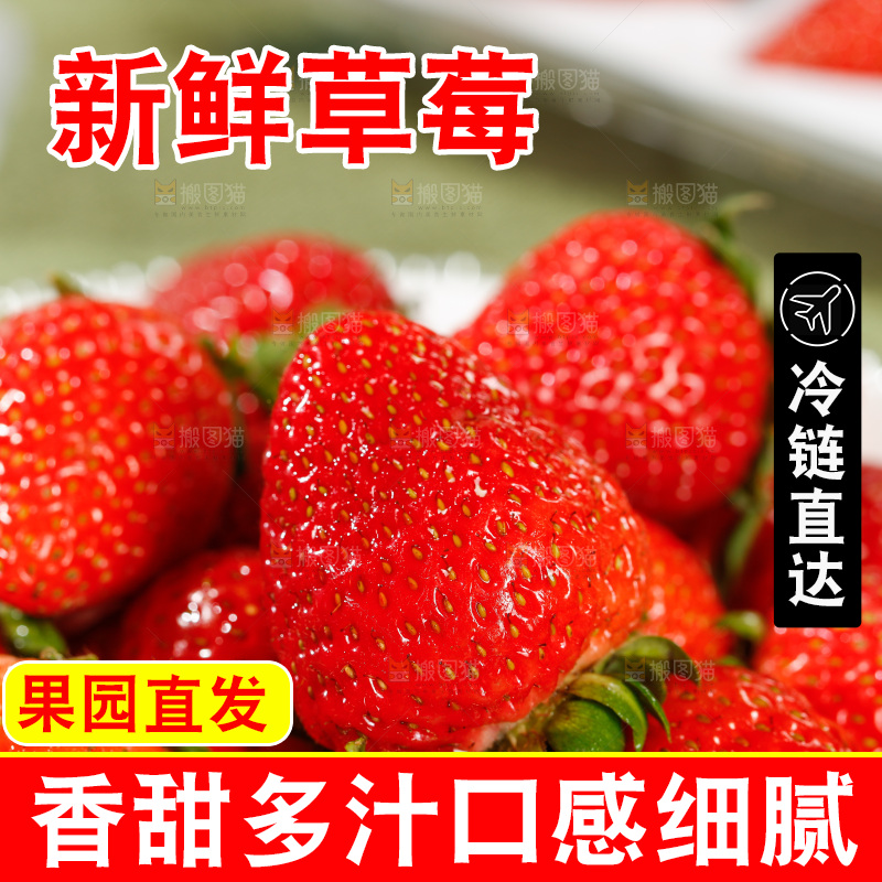 浅底上的丹东草莓