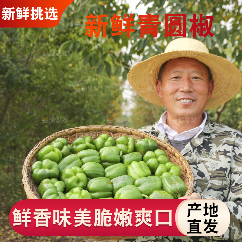 手里拿着新鲜青圆椒
