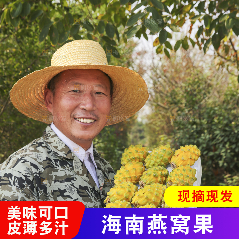 手里拿着燕窝果