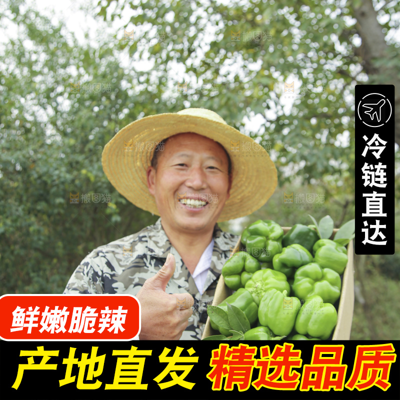 手里拿着新鲜青圆椒