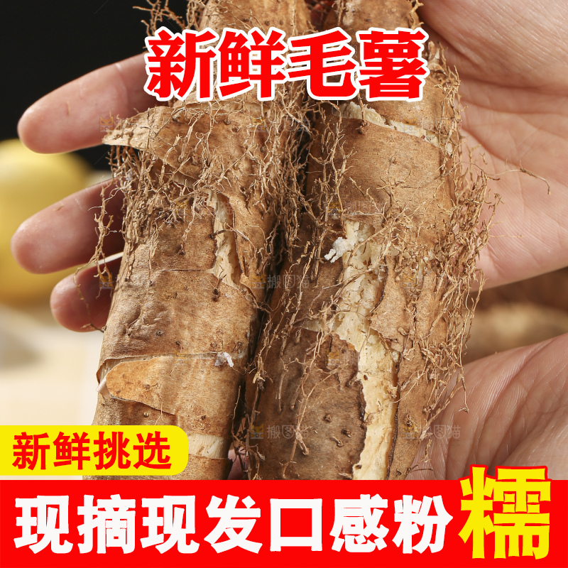浅底上的新鲜毛薯