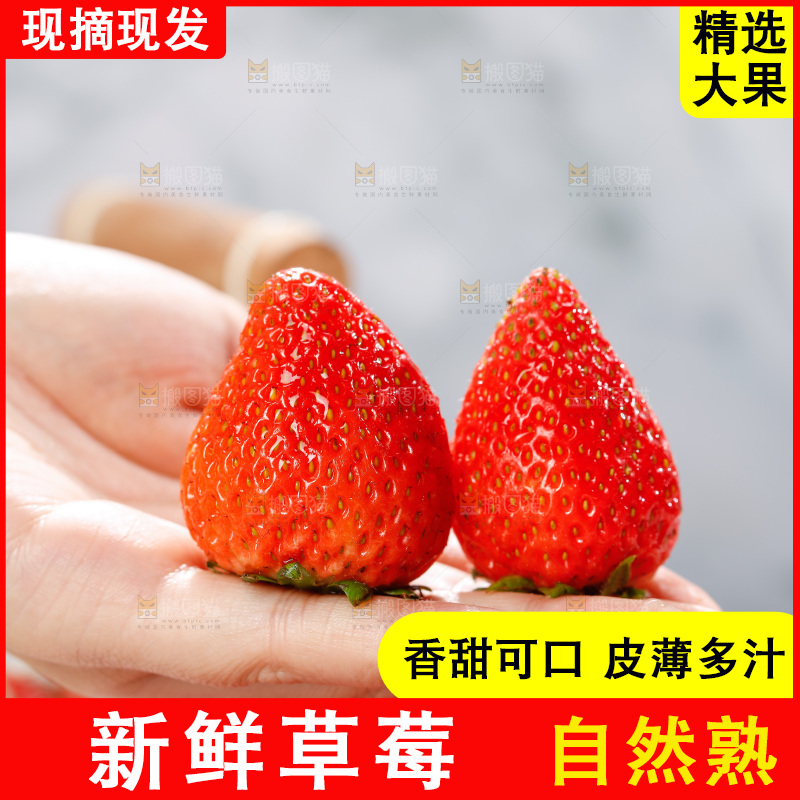 浅底上的丹东草莓