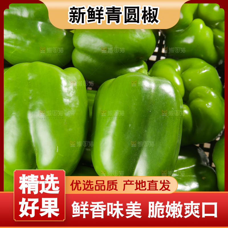 白底上的青圆椒