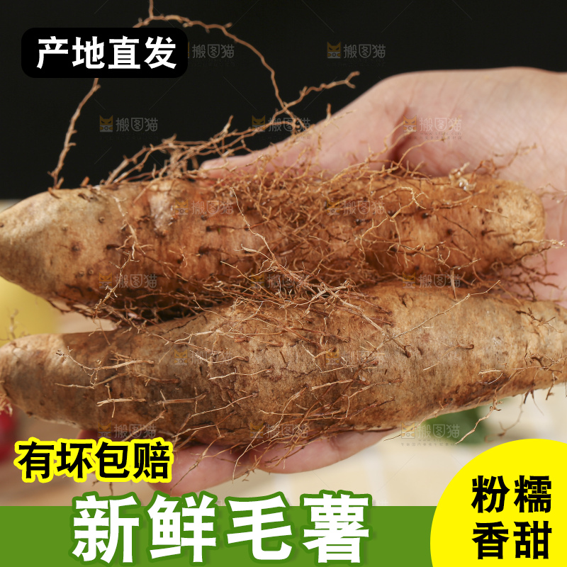 浅底上的新鲜毛薯