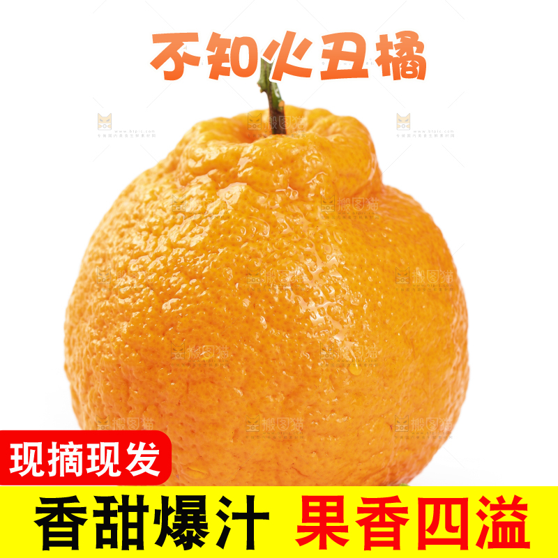 白底上的丑橘