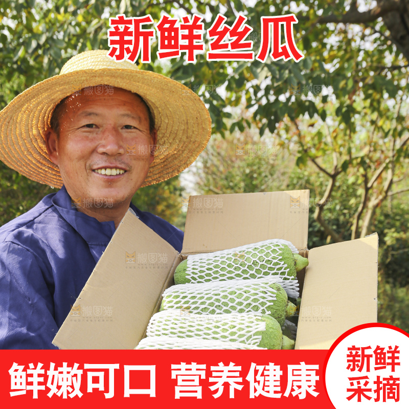 手里拿着新鲜丝瓜
