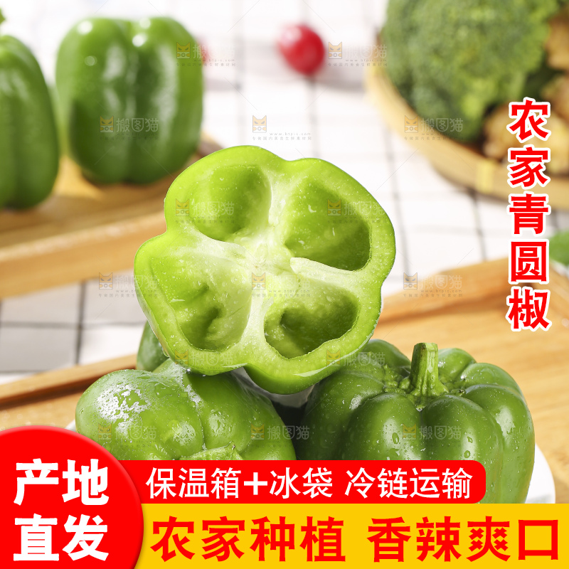 浅底上的青圆椒