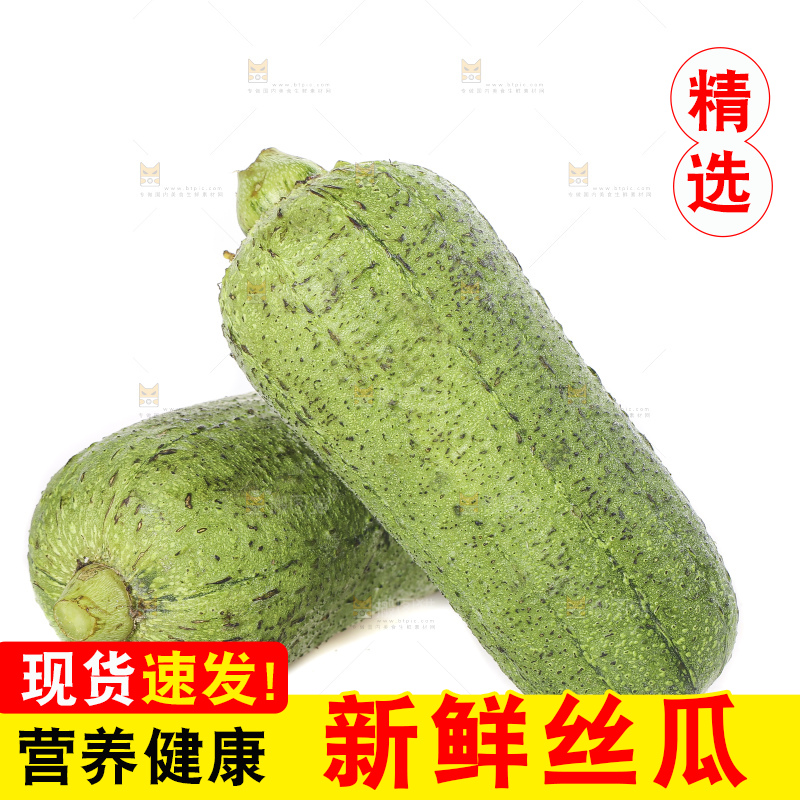 白底上的肉丝瓜