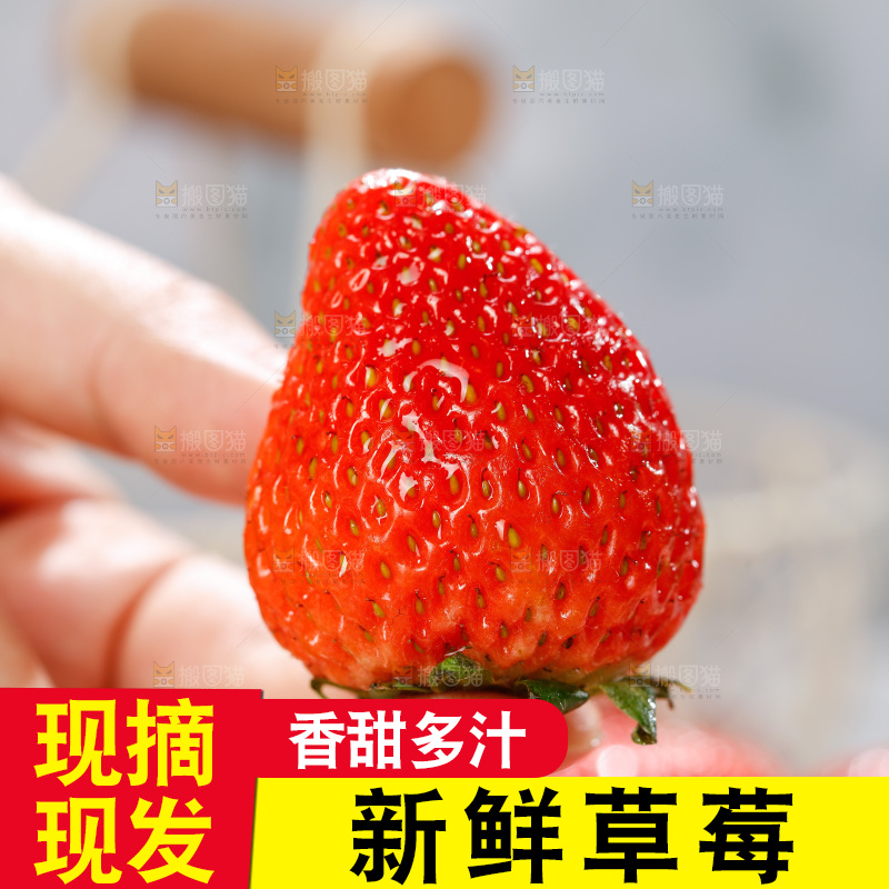 浅底上的丹东草莓